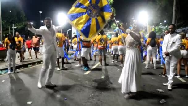 Rio Janeiro Brasil 2024 Escuela Samba Salgueiro Celebra Este Domingo — Vídeos de Stock