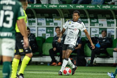 (SP), 01 / 24 / 2024 - PAULISTAO vs PALMEIRAS, bu Çarşamba akşamı, 24 Ocak 2024. 