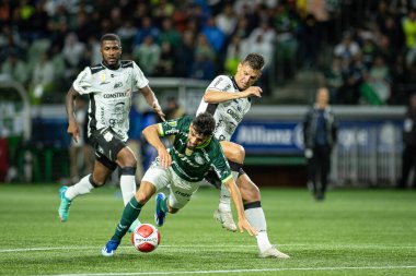 (SP), 01 / 24 / 2024 - PAULISTAO vs PALMEIRAS, bu Çarşamba akşamı, 24 Ocak 2024. 