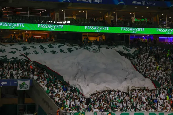 (SP), 01 / 24 / 2024 - PAULISTAO vs PALMEIRAS, bu Çarşamba akşamı, 24 Ocak 2024. 