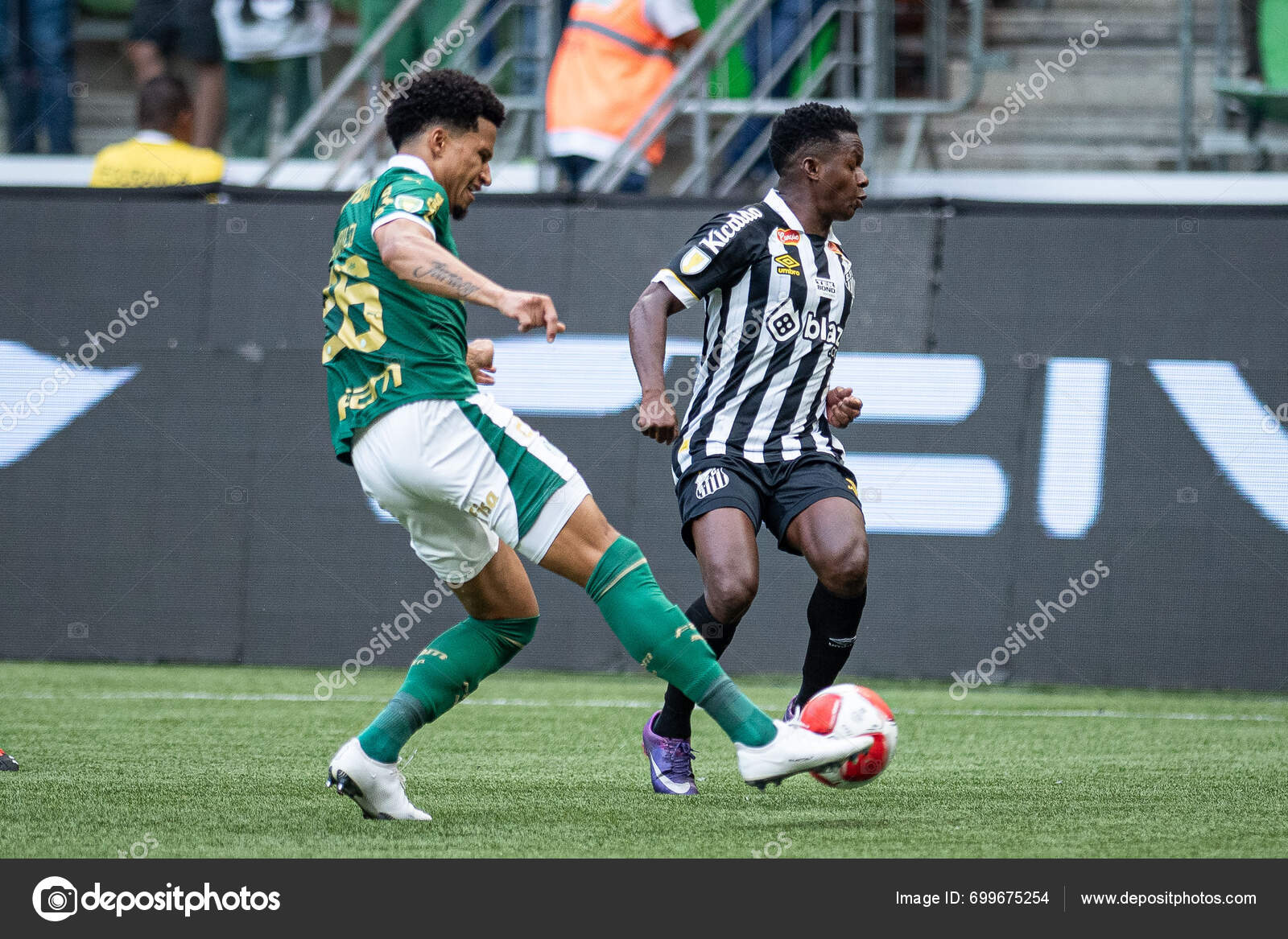 Sao Paulo 2024 Paulistao Palmeiras Sunday January 2024 — Stock