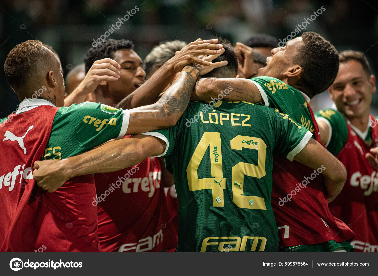 Sao Paulo 2024 Paulistao Palmeiras Night Sunday January 2024 — Stock