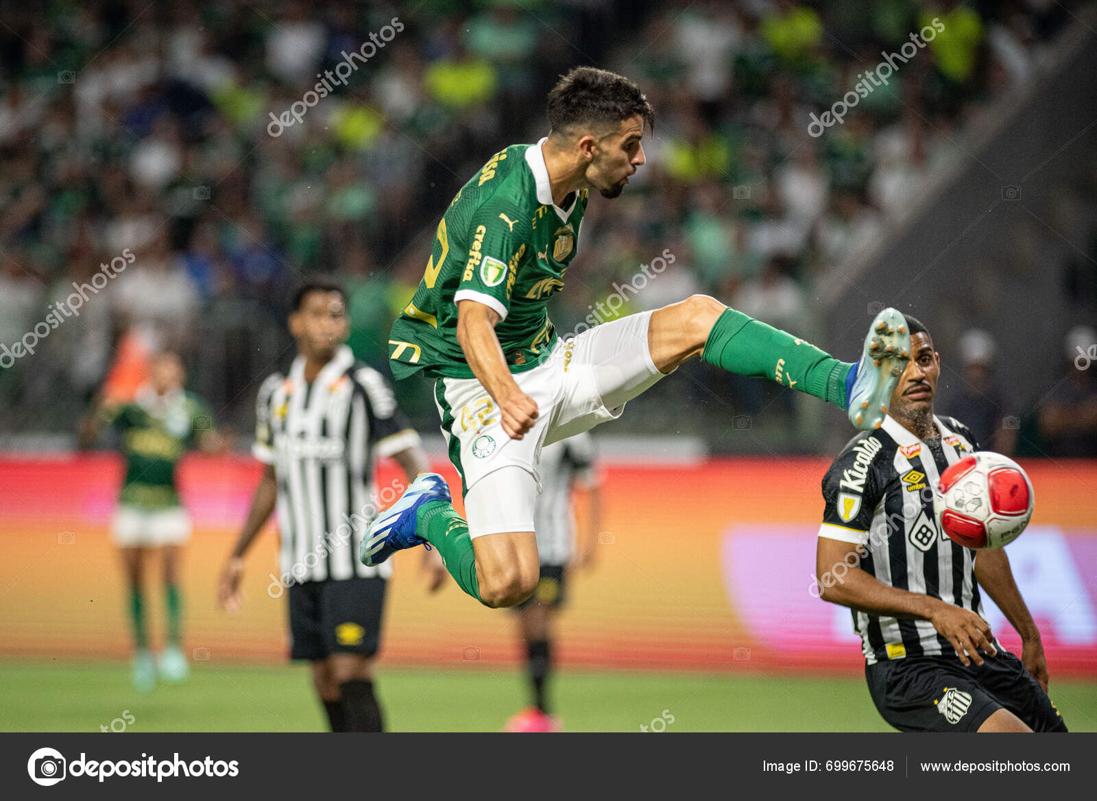 Sao Paulo 2024 Paulistao Palmeiras Sunday January 2024 — Stock
