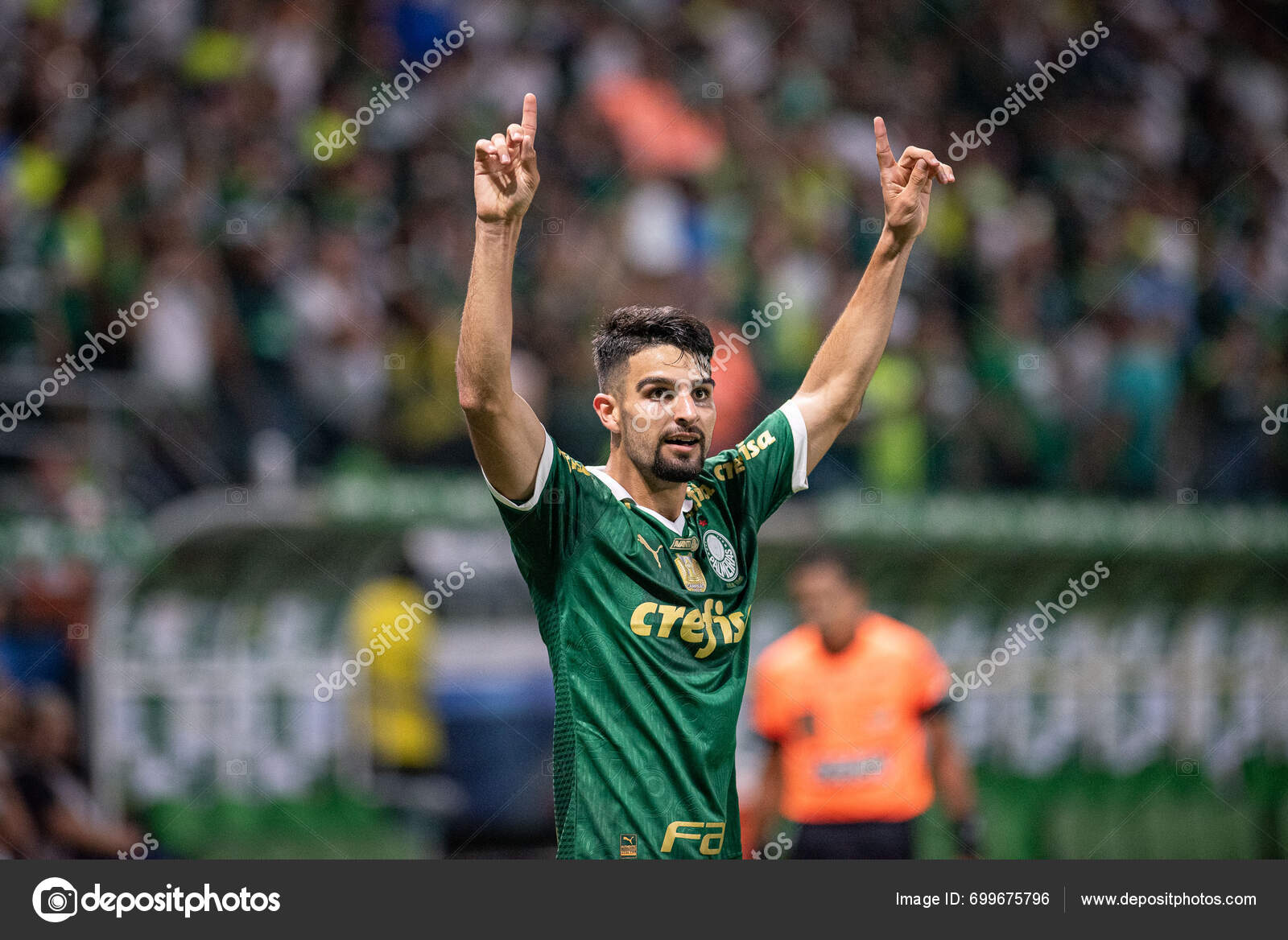 Sao Paulo 2024 Paulistao Palmeiras Night Sunday January 2024 — Stock