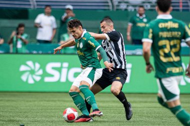 Sao Paulo (SP), 01 / 28 / 2024 - PAULISTAO / PALMEIRAS 28 Ocak Pazar, 2024. 