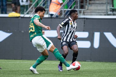 Sao Paulo (SP), 01 / 28 / 2024 - PAULISTAO / PALMEIRAS 28 Ocak Pazar, 2024. 