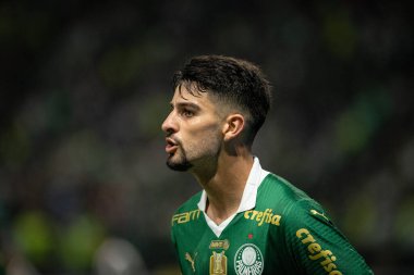 Sao Paulo (SP), 01 / 28 / 2024 - PAULISTAO / PALMEIRAS -SP, bu Pazar gecesi, 28 Ocak 2024. 