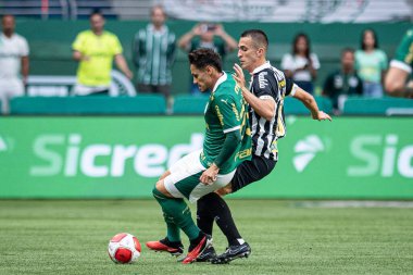 Sao Paulo (SP), 01 / 28 / 2024 - PAULISTAO / PALMEIRAS 28 Ocak Pazar, 2024. 