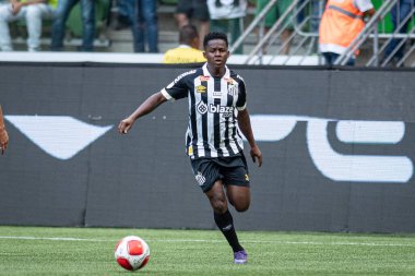 Sao Paulo (SP), 01 / 28 / 2024 - PAULISTAO / PALMEIRAS 28 Ocak Pazar, 2024. 