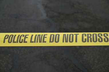 Polis, Ramapo, New York 'ta bir kadın vurulup öldürüldükten sonra bir tetikçiyi arıyor. 31 Ocak 2024, Ramapo, New York, ABD: Yetkililer Inwood Drive 'daki olay yerine yaklaşık sabah 9: 00 sularında geldiler..