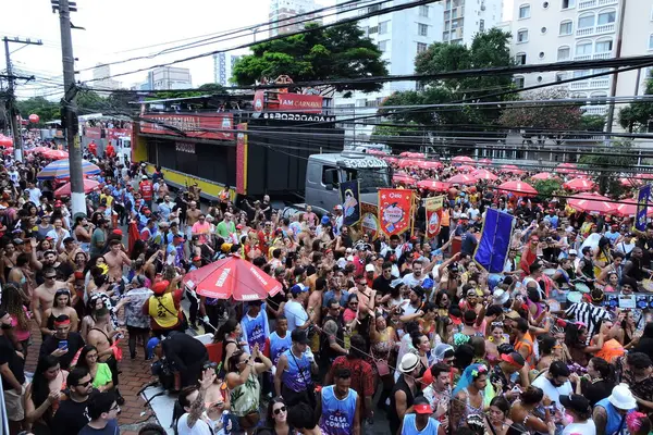 Sao Paulo Brasil 2024 Tradicional Grupo Casa Comigo Celebró Desfile — Foto de Stock