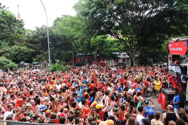 Sao Paulo Brésil 2024 Mouvement Des Fêtards Pendant Bloc Ritaleena — Photo