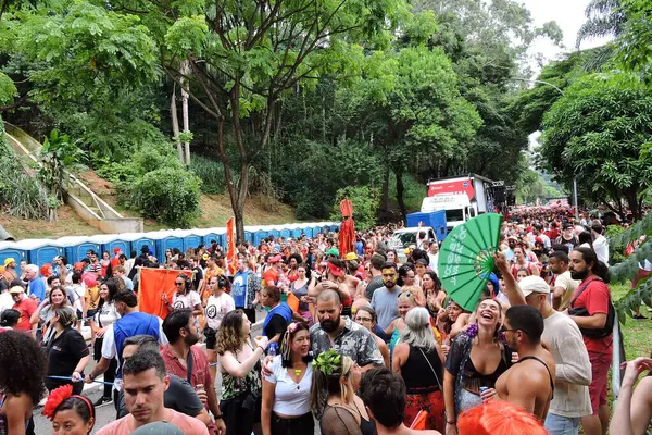 San Paolo Brasile 2024 Movimento Festaioli Durante Blocco Ritaleena Che — Foto Stock