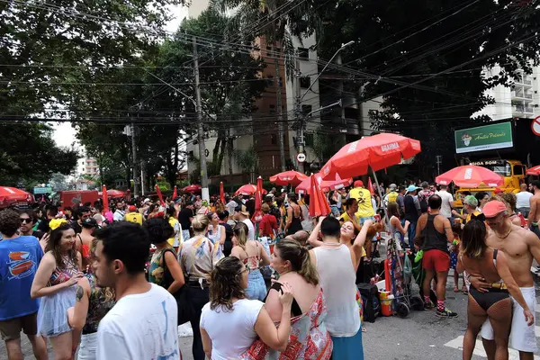 Sao Paulo Brazil 2024 Movement Revelers Love Fantastic Bloco Amelie — Stock Photo, Image