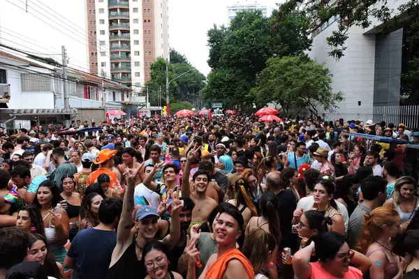 Sao Paulo (SP), Brezilya 03 / 02 / 2024 - Bu cumartesi öğleden sonra Pinheiros mahallesinin sokaklarına dökülen Aşk ve Fantastik Bloco Amelie Pulando geçit törenleri sırasında eğlenenlerin hareketi (03)). 