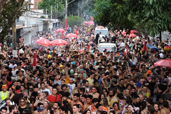 Sao Paulo (SP), Brezilya 03 / 02 / 2024 - Bu cumartesi öğleden sonra Pinheiros mahallesinin sokaklarına dökülen Aşk ve Fantastik Bloco Amelie Pulando geçit törenleri sırasında eğlenenlerin hareketi (03)). 
