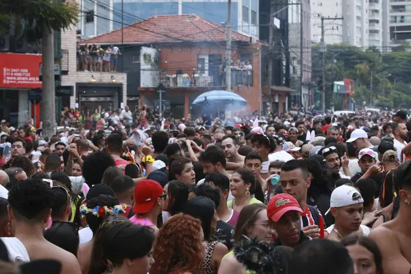 Sao Paulo 2024 Straatcarnavalsgroepen Namen Dit Weekend Straten Van Sao — Stockfoto