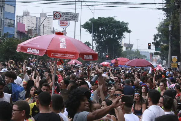 Сао Пауло Озил 2024 Группы Уличных Карнавалов Захватили Улицы Сан — стоковое фото