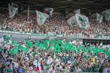 BELO HORIZONTE (MG), 04 / 02 / 2024 - Palmeiras ve Sao Paulo arasındaki maçtan önce Palmeiras taraftarları, 2024 Brezilya Süper Kupası final maçı için geçerlidirler.
