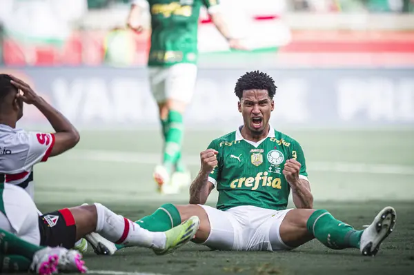 Belo Horizonte 2024 Murilo Während Des Spiels Zwischen Palmeiras Und — Stockfoto