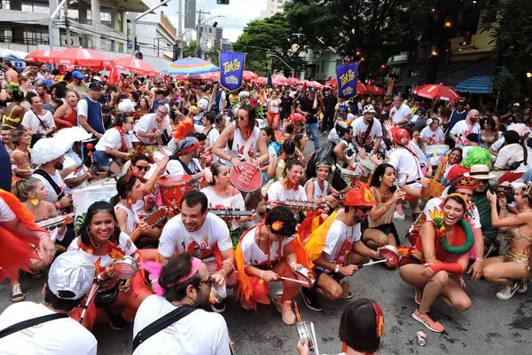 Sao Paulo Brazil 2024 Bloco Confraria Pasmado Held Its Parade — Stock Photo, Image