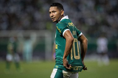 Barueri (SP), Brezilya 02 / 07 / 2024 - Maç PAULISTAO ile PALMEIRAS bu Perşembe, 7 Şubat 2024. 