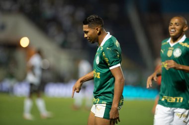 Barueri (SP), Brezilya 02 / 07 / 2024 - Maç PAULISTAO ile PALMEIRAS bu Perşembe, 7 Şubat 2024. 