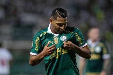 Barueri (SP), Brezilya 02 / 07 / 2024 - Maç PAULISTAO ile PALMEIRAS bu Perşembe, 7 Şubat 2024. 