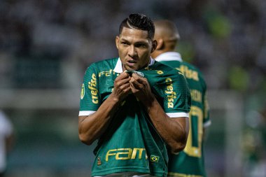 Barueri (SP), Brezilya 02 / 07 / 2024 - Maç PAULISTAO ile PALMEIRAS bu Perşembe, 7 Şubat 2024. 