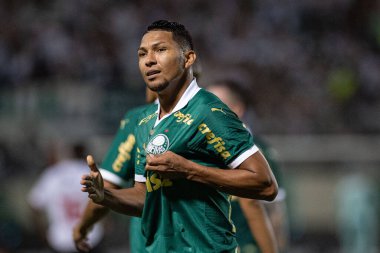 Barueri (SP), Brezilya 02 / 07 / 2024 - Maç PAULISTAO ile PALMEIRAS bu Perşembe, 7 Şubat 2024. 