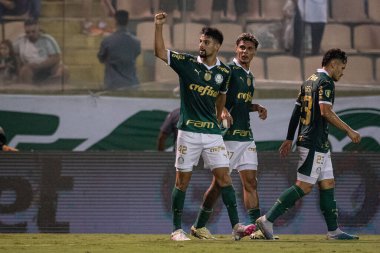 Barueri (SP), Brezilya 02 / 07 / 2024 - Maç PAULISTAO ile PALMEIRAS bu Perşembe, 7 Şubat 2024. 