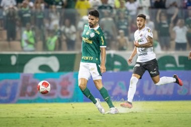 Barueri (SP), Brezilya 02 / 07 / 2024 - Maç PAULISTAO ile PALMEIRAS bu Perşembe, 7 Şubat 2024. 