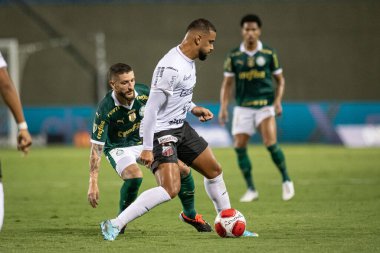 Barueri (SP), Brezilya 02 / 07 / 2024 - Maç PAULISTAO ile PALMEIRAS bu Perşembe, 7 Şubat 2024. 