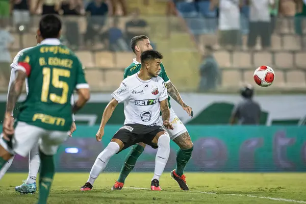 Barueri (SP), Brezilya 02 / 07 / 2024 - Maç PAULISTAO ile PALMEIRAS bu Perşembe, 7 Şubat 2024. 