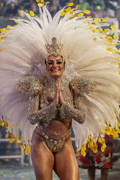 Sao Paulo Brazil 2024 Dragoes Real Parade Samba Schools Sao — Stock Photo, Image