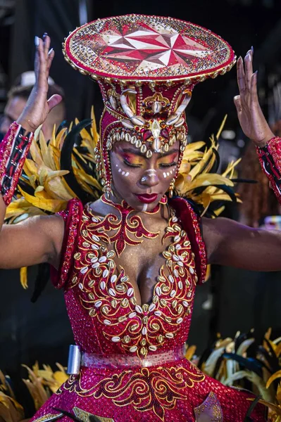 Sao Paulo Brasilien 2024 Självständig Tricolor Paraden Samba Skolor Sao — Stockfoto