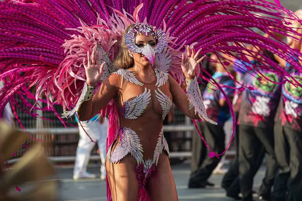 Sao Paulo Brazilië 2024 Gouden Rozen Tijdens Parade Van Samba — Stockfoto