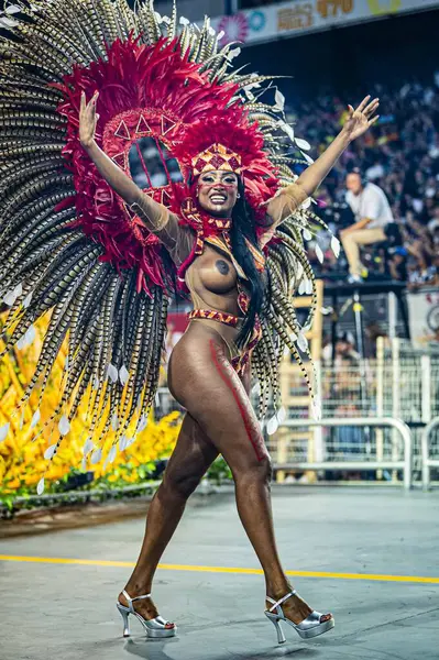 Sao Paulo 2024 Tom Maior Durante Desfile Las Escuelas Samba — Foto de Stock