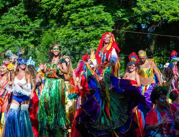Rio Janeiro Brazilië 2024 Carnavalsvoorstelling Van Het Terreirada Cearense Blok — Stockfoto