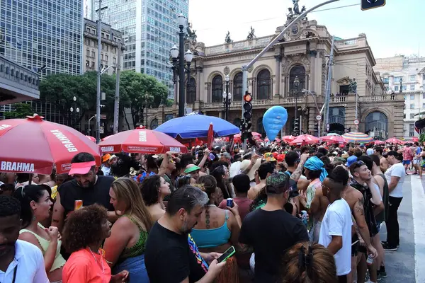 Sao Paulo 2024 Carnival Tarado Voce Bloco Het Traditionele Tarado — Stockfoto
