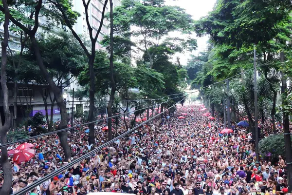 Sao Paulo 2024 Député Fédéral Erika Hilton Participé Parade Bloc — Photo