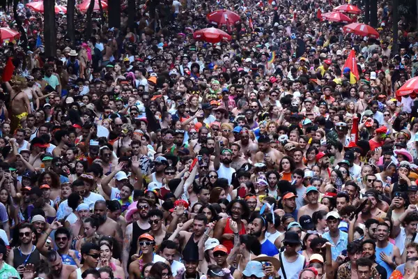 SAO PAULO (SP), 02/10/2024. Federal vekil Erika Hilton, 10 Şubat 2024 Cumartesi günü öğleden sonra Sao Paulo 'nun merkezindeki Praca da Republica bölgesinde düzenlenen LGBT geçit törenine katıldı.. 