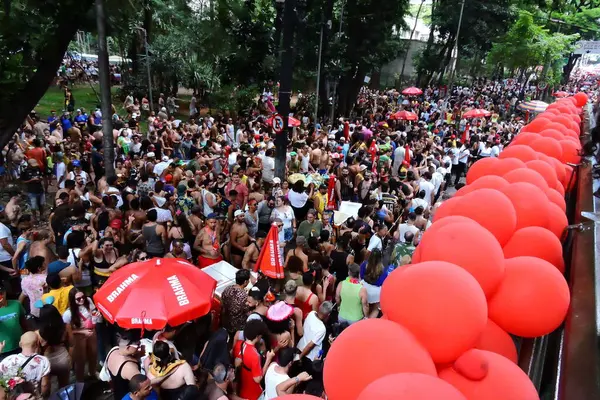 Sao Paulo 2024 联邦众议员Erika Hilton于2024年2月10日 星期六 下午参加了在圣保罗中心的Minhoqueens Lgbt区举行的游行 — 图库照片
