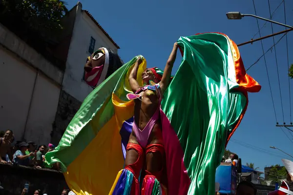 Rio Janeiro Brésil 2024 Traditionnel Bloco Das Carmelitas Dans Son — Photo