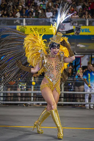 Sao Paulo Brazil 2024 Golden Eagle Parade Samba Schools Sao — Stock Photo, Image