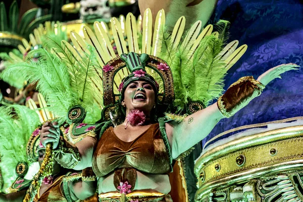 Sao Paulo Brasile 2024 Sfilata Delle Scuole Samba San Paolo — Foto Stock