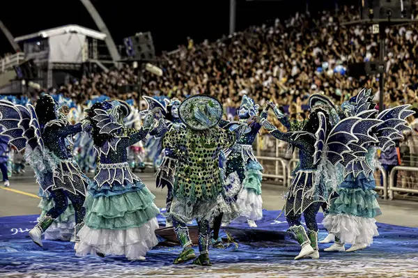 Sao Paulo Brasil 2024 Desfile Las Escuelas Samba Sao Paulo —  Fotos de Stock