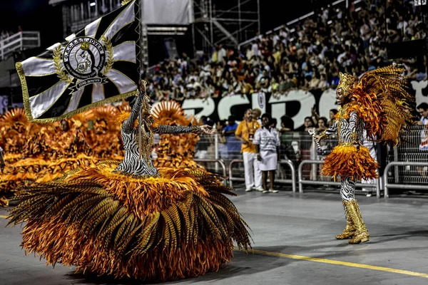 Sao Paulo Brazil 2024 Parade Samba Schools Sao Paulo Torcida — Stock Photo, Image