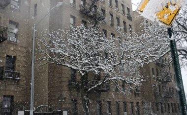 Şiddetli kar New York ve Kuzeydoğu 'yu vuruyor, seyahat tehlikeleri ve uçuş gecikmeleri getiriyor. 13 Şubat 2024, New York, ABD: New York Şehri ve kuzeydoğuya yoğun kar yağışı, beraberinde seyahat tehlikeleri ve uçuş gecikmeleri ve zorlukları getirdi