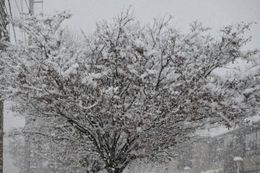 Kar fırtınası Fair Lawn, New Jersey 'deki Fair Lawn Lisesi' ni etkiliyor. 13 Şubat 2024, Fair Lawn, New Jersey, ABD: Şiddetli kar yağışı nedeniyle New Jersey 'deki Fair Lawn Lisesi' nde kar fırtınası okul ve derslere yol açmıyor